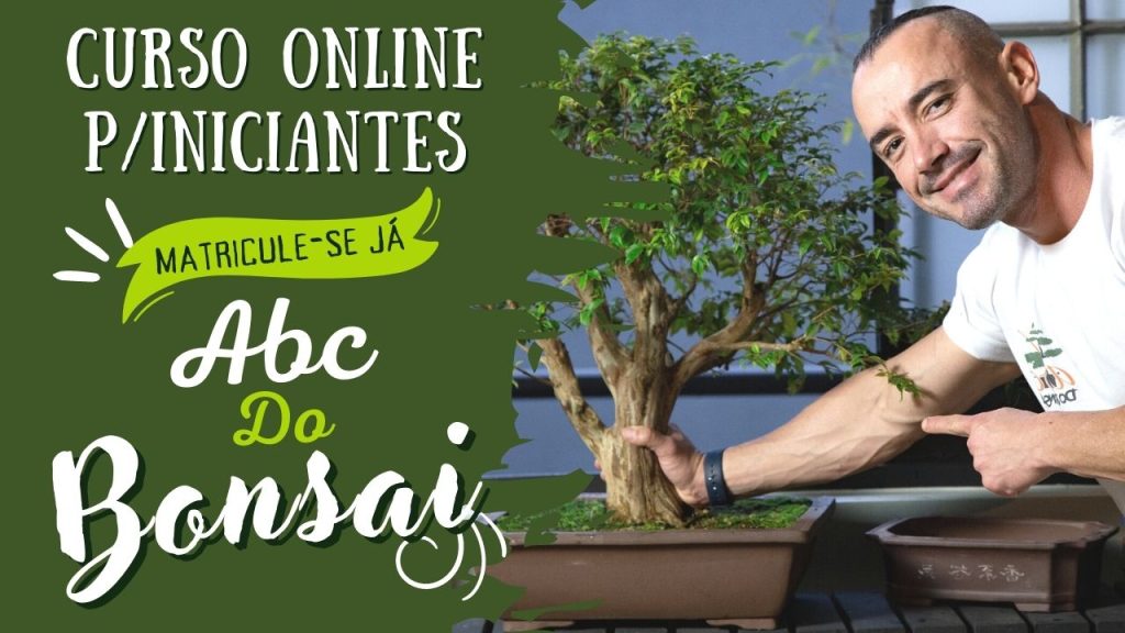 Curso de Bonsai para Iniciantes do ABC do Bonsai