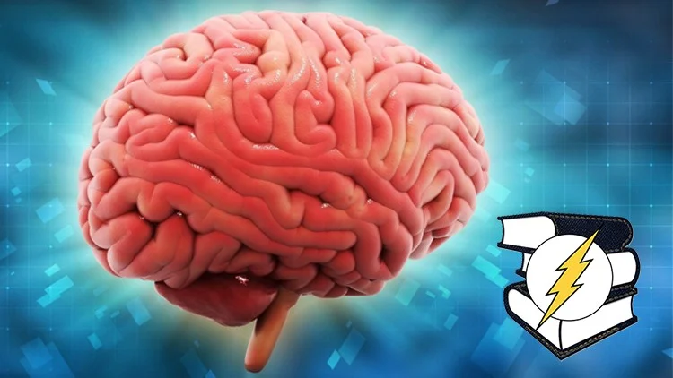 Curso de desenvolvimento pessoal