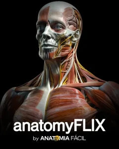 Curso de anatomia humana, AnatomyFlix 2.0 - Anatomia Fácil
