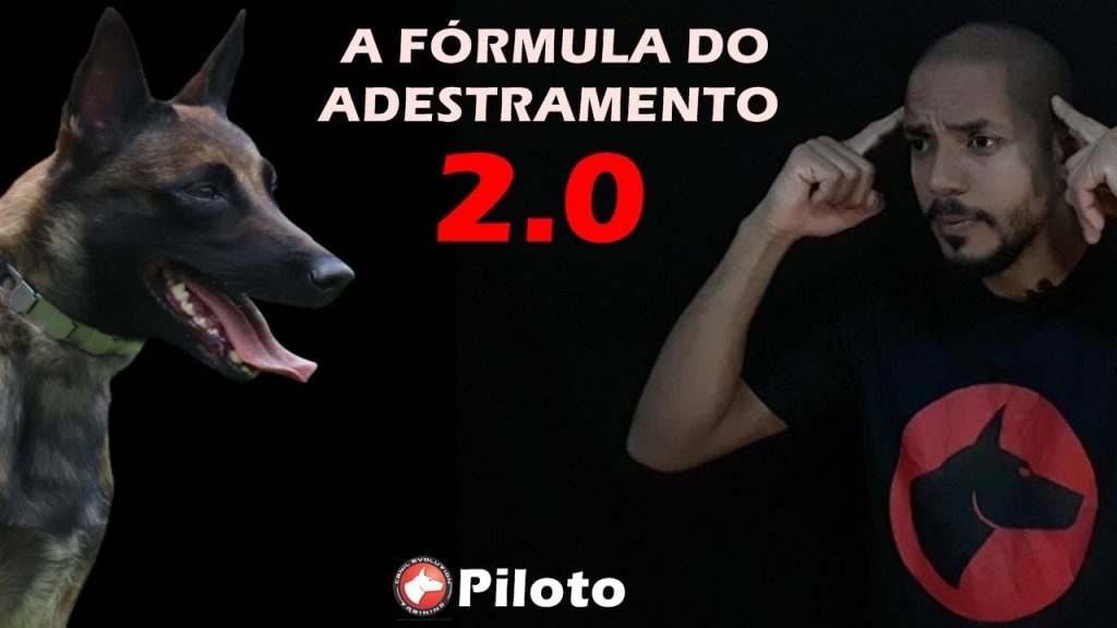 A Fórmula do Adestramento 2.0 - Dionatas Piloto