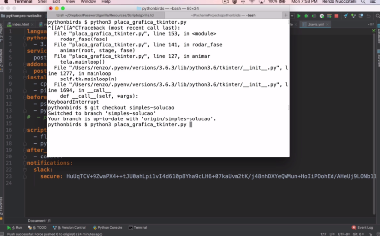 Python PRO – Renzo Nuccitelli - Ninja Cursos