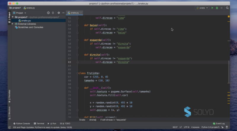 Python Profissional na Prática - Guilherme Junqueira