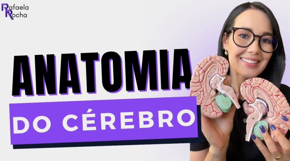 Anatomia dos Transtornos Mentais - Rafaela Rocha