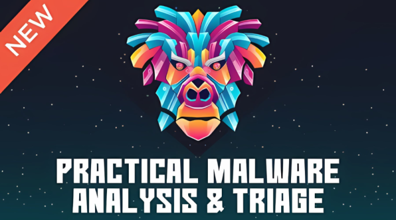 Practical Malware Analysis & Triage - TCM