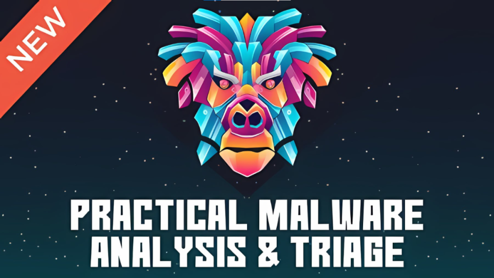 Practical Malware Analysis & Triage - TCM