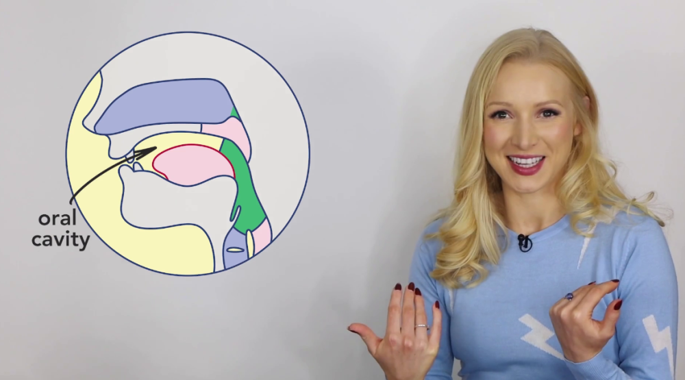 Pronunciation Programme - English With Lucy