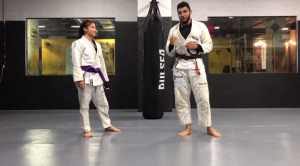 NeuroJitsu-–-Gabriel-Sanvedo-300x166 Milhares de Cursos Grátis